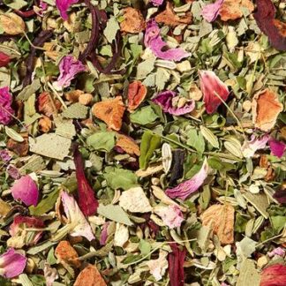 Kräutertee Moringa Eukalyptus und Rose