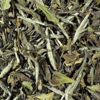 Pai Mu Tan white tea